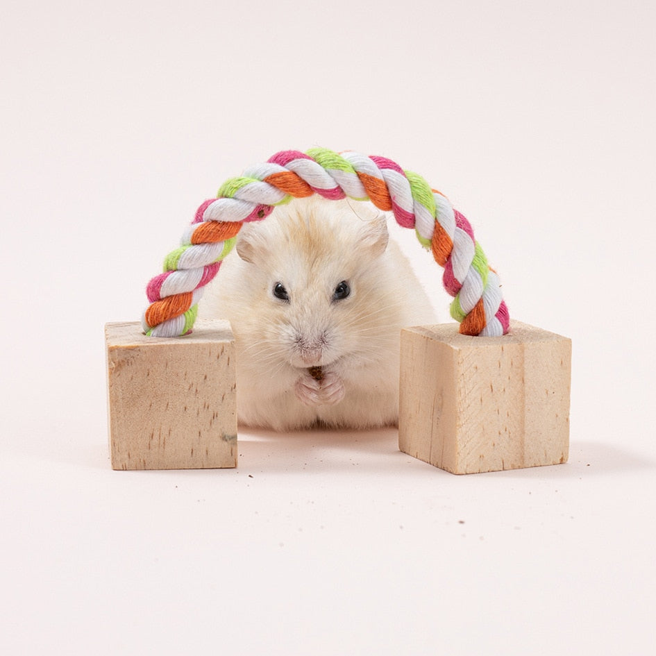 Cute Natural Wooden Rabbits Toys Pine Dumbells Unicycle Bell Roller Chew Toys for Guinea Pigs Rat Small Pet Molars Supplies