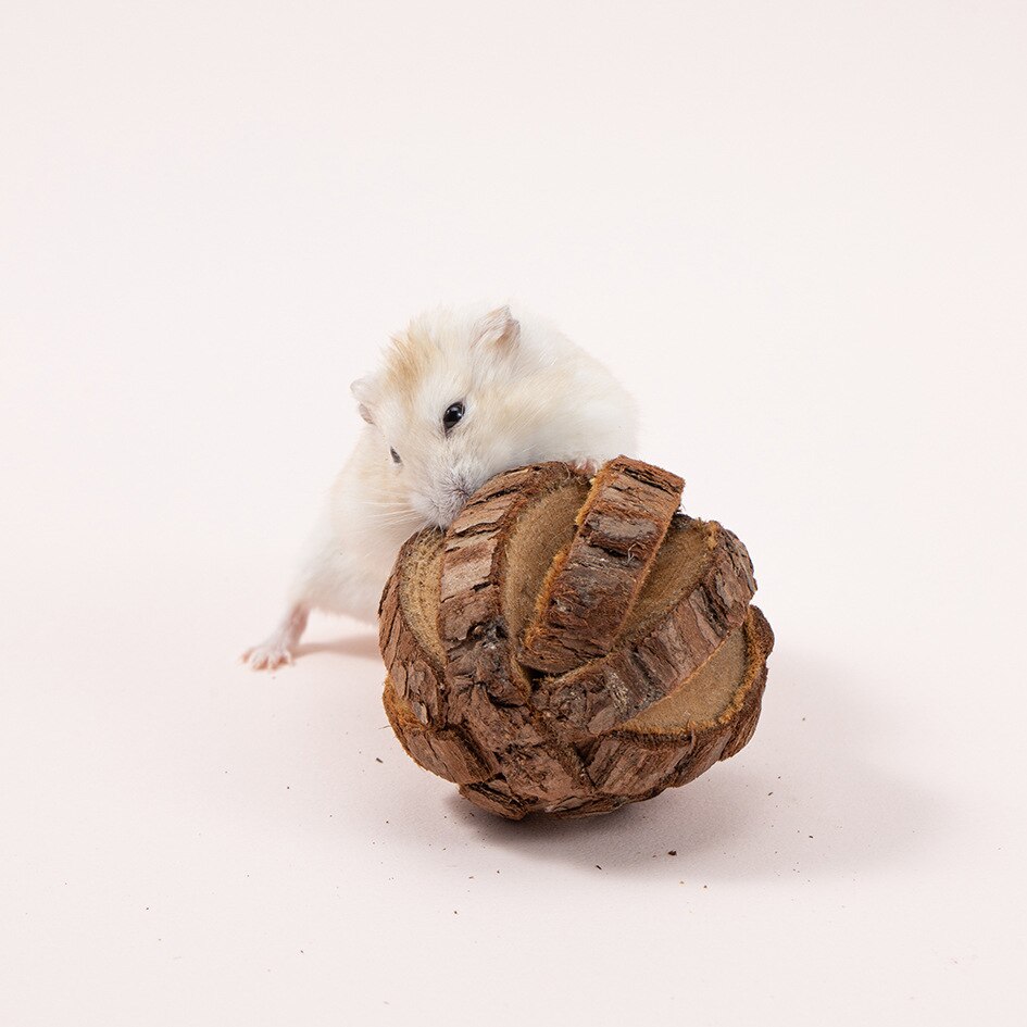 Cute Natural Wooden Rabbits Toys Pine Dumbells Unicycle Bell Roller Chew Toys for Guinea Pigs Rat Small Pet Molars Supplies