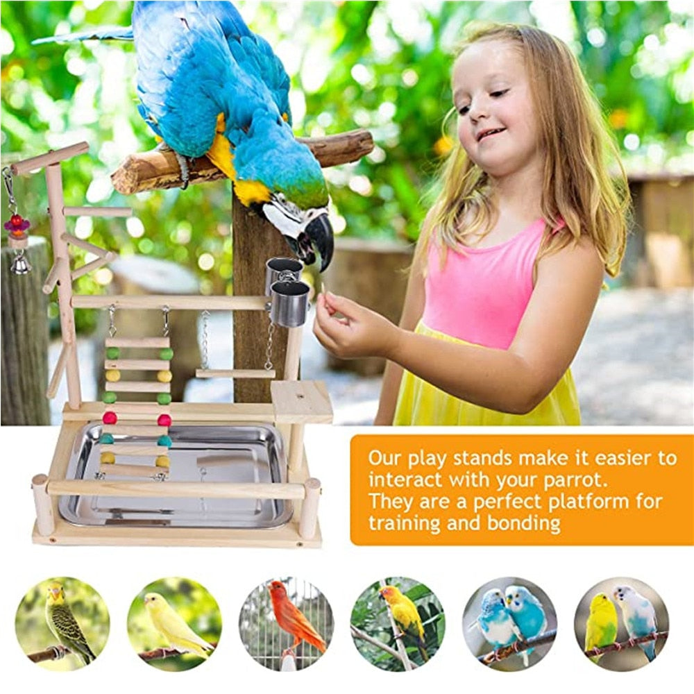 Parrot Playstand Wood Bird Playground Wood Perch Gym Playpen with Feeder Cup Play Stand Cage Toys for Cockatiel Parakeets Budgie