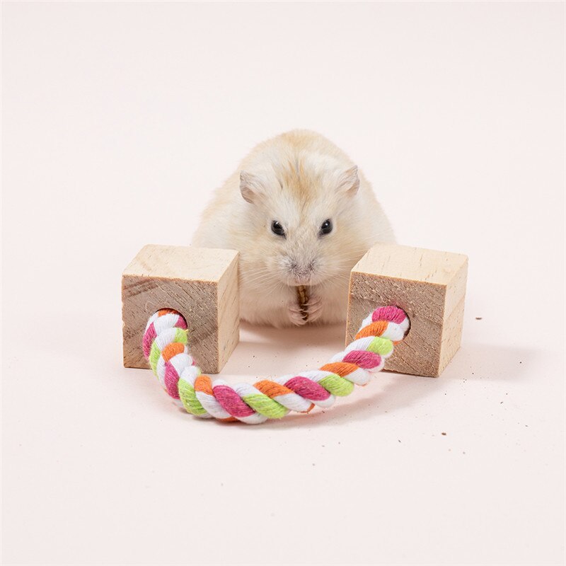 Cute Natural Wooden Rabbits Toys Pine Dumbells Unicycle Bell Roller Chew Toys for Guinea Pigs Rat Small Pet Molars Supplies