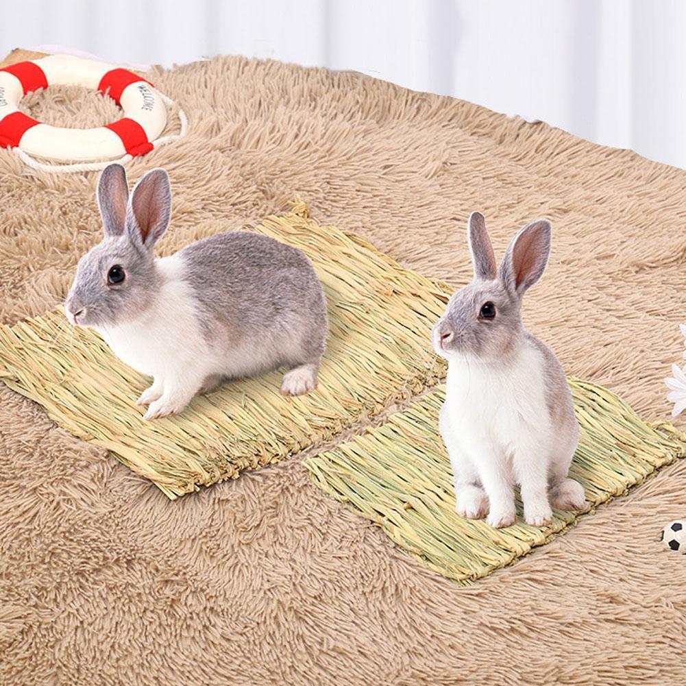 New Rabbit Grass Chew Mat Hamster Guinea Pig Cage Bed Nest Chew Woven House Small Animal Mat Rabbit Straw Pet Accessories P I2p7
