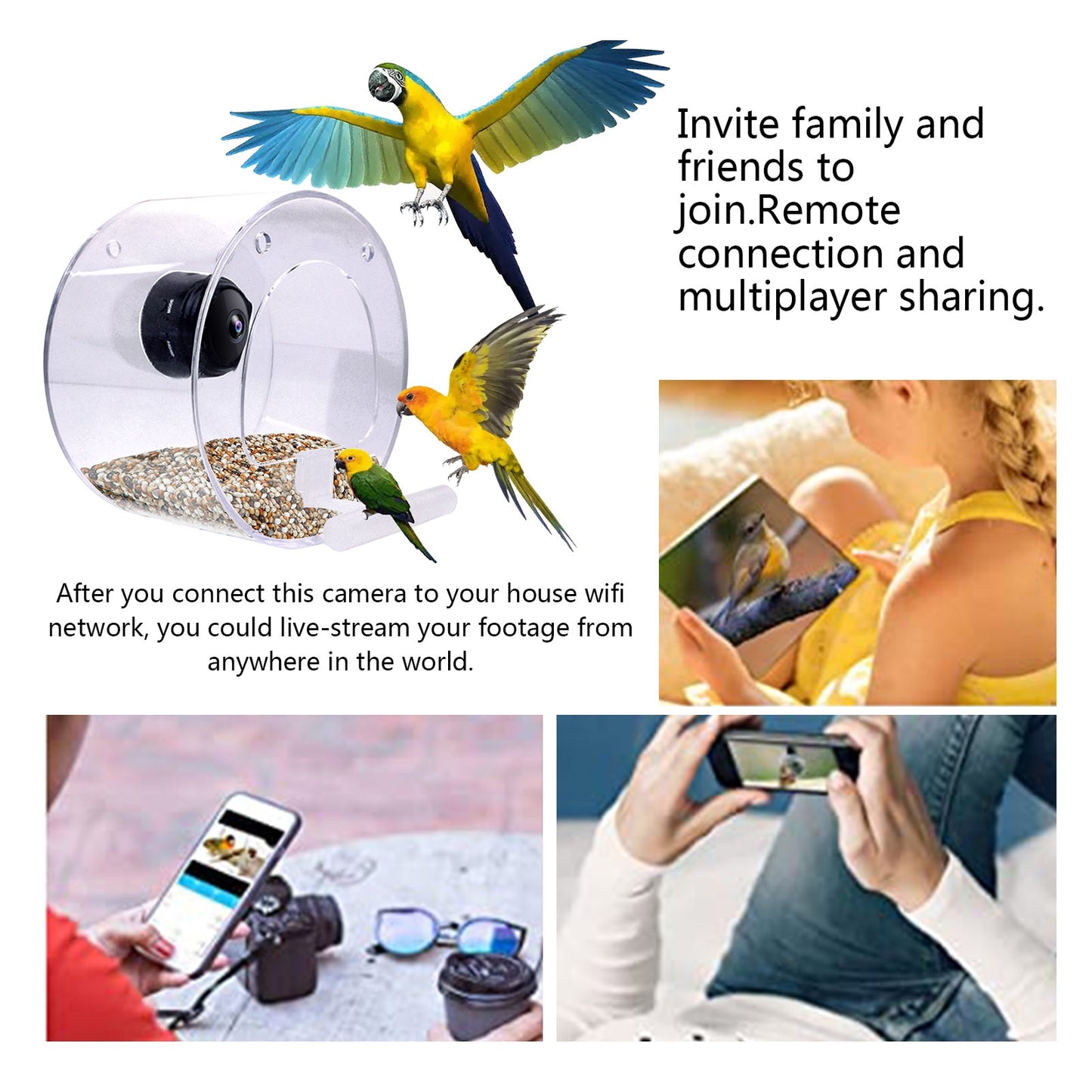 New Bird Feeder With Camera Bird Feeders House With Wireless WiFi Bird Camera 1080p For Outdoor Bird Watching Bird Feeder Aves