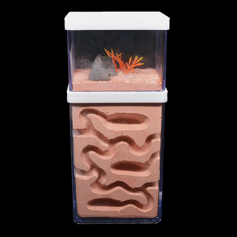 New Large Plaster Ant Farm Natural Ecological Big Ant Nest Insect Castle Workshop Pet Anthill Ant House with Feeding Area