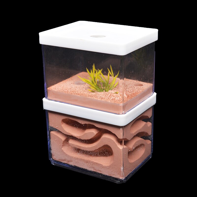 New Large Plaster Ant Farm Natural Ecological Big Ant Nest Insect Castle Workshop Pet Anthill Ant House with Feeding Area