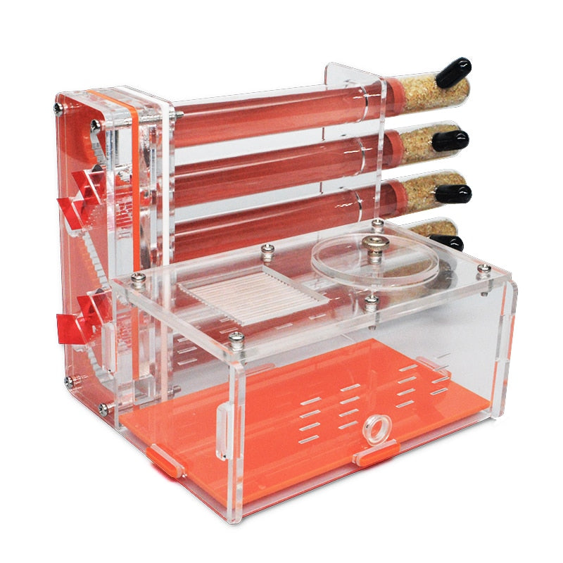 DIY Acrylic Ant Farm with Feeding Area Ants House Workshop 5 Plaster Tubes Ant Nest Insect Gypsum Test Tube Nest Pet Anthill