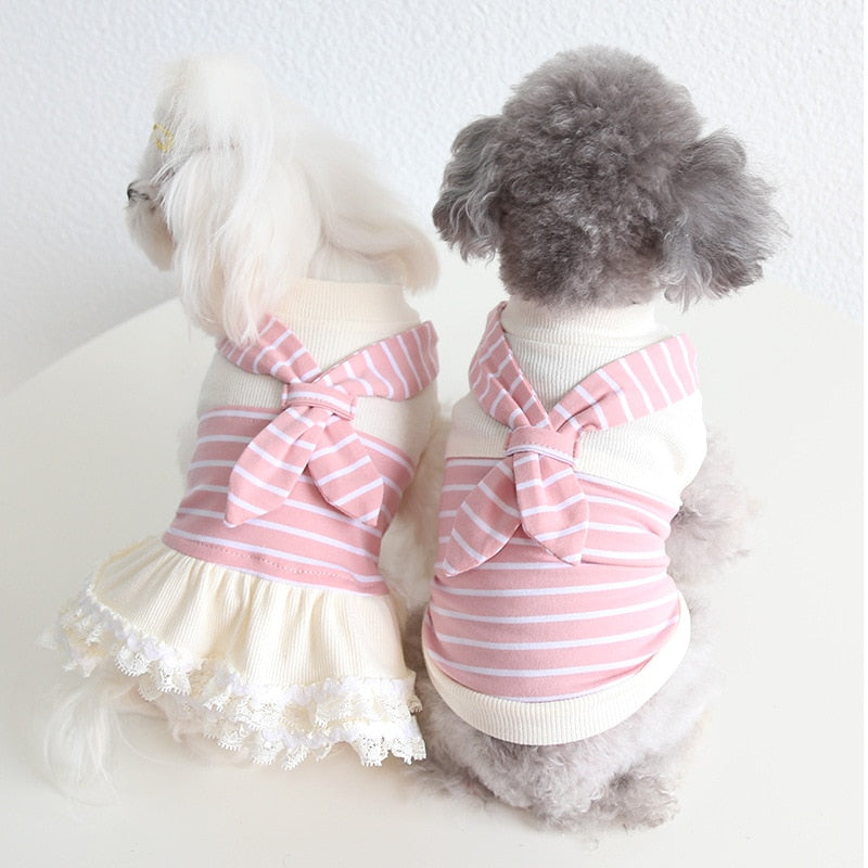 Summer Cat Skirts Scarf Striped Couple Suit Sweet Korean Style Cat one-piece Dress Dog Cat Clothes