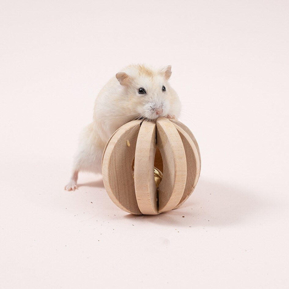 Cute Natural Wooden Rabbits Toys Pine Dumbells Unicycle Bell Roller Chew Toys for Guinea Pigs Rat Small Pet Molars Supplies