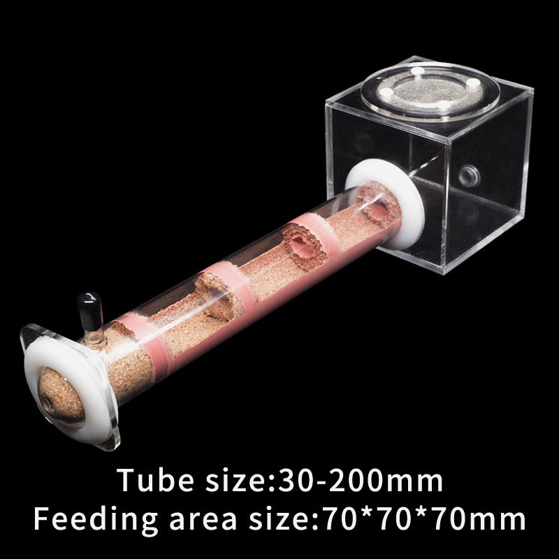 DIY Ecological Ant Farm Bamboo Tube Nest with Feeding area Various Size Ant House for Workshop Pet Anthill Ant Nest With Bracket