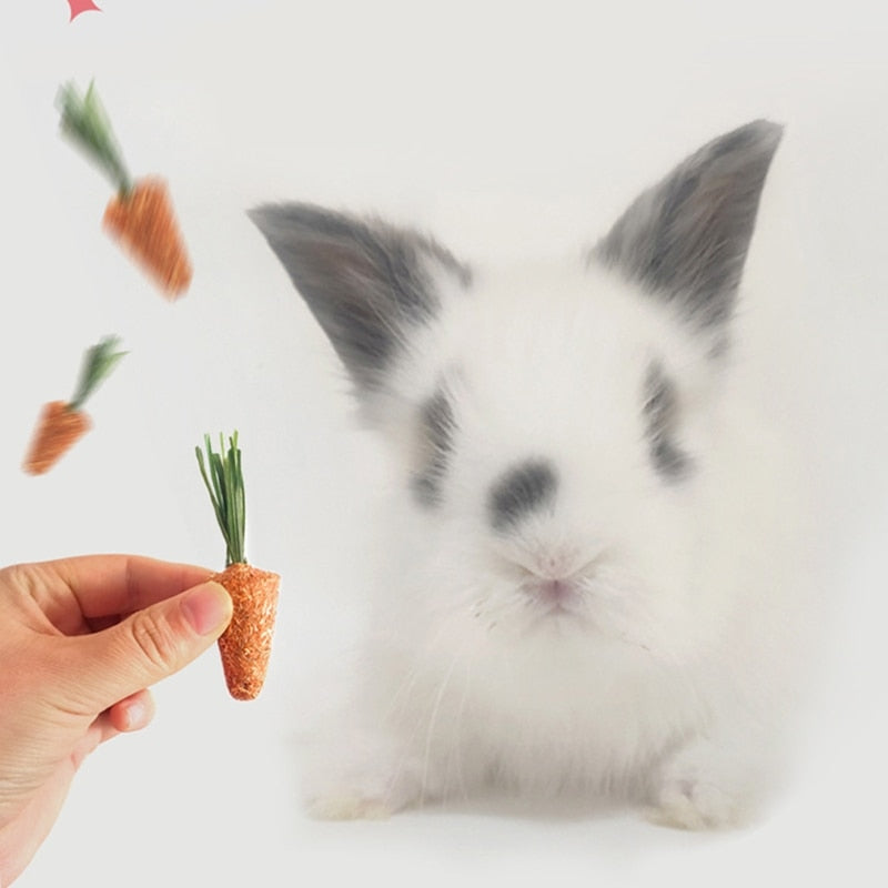 Bunny Chew Toys Rabbit Hay Treat Grass Cakes Applewood Blocks Wicker Balls for Rabbit Chinchilla Teeth Cleaning
