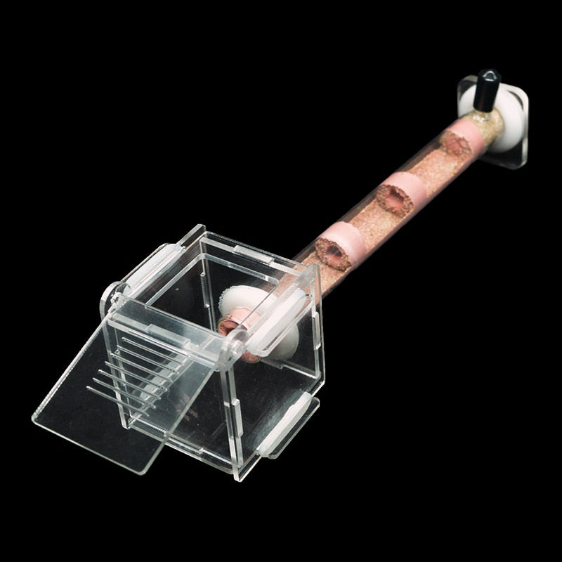 DIY Ecological Ant Farm Bamboo Tube Nest with Feeding area Various Size Ant House for Workshop Pet Anthill Ant Nest With Bracket