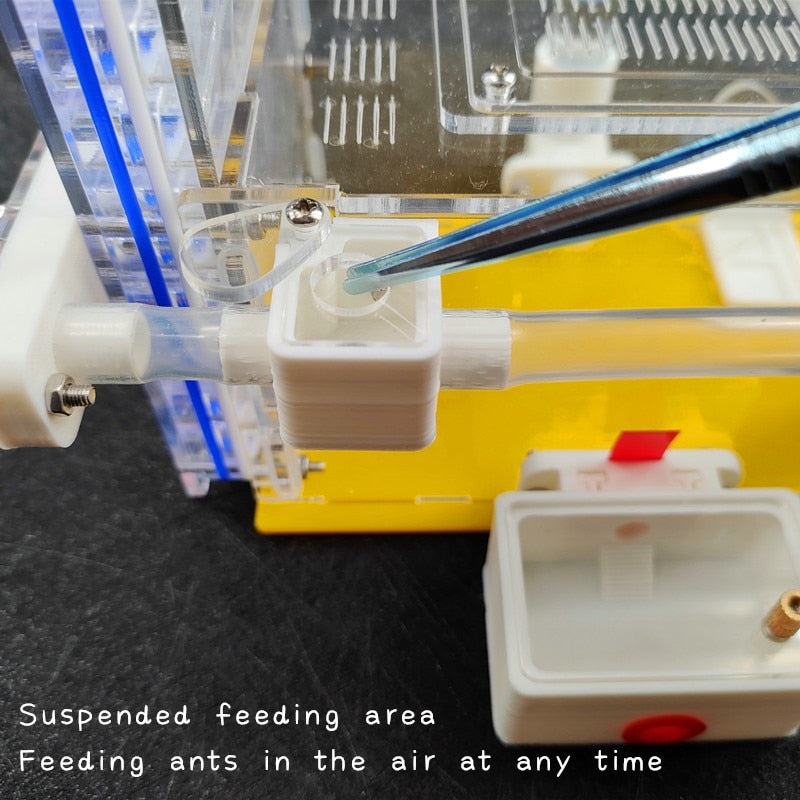 T Design DIY Ant Farm with Feeding Area Acryl Ant Nest Insect Ant House Villa Anthill Pet Workshop Mania for House Ant Hotel