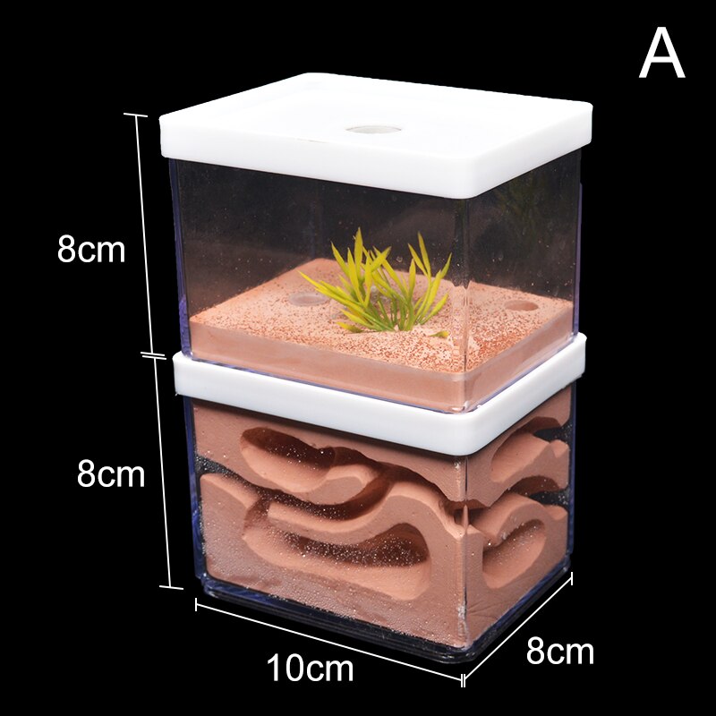 New Large Plaster Ant Farm Natural Ecological Big Ant Nest Insect Castle Workshop Pet Anthill Ant House with Feeding Area