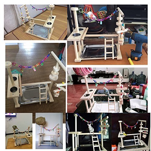 Parrot Bird Play Stand