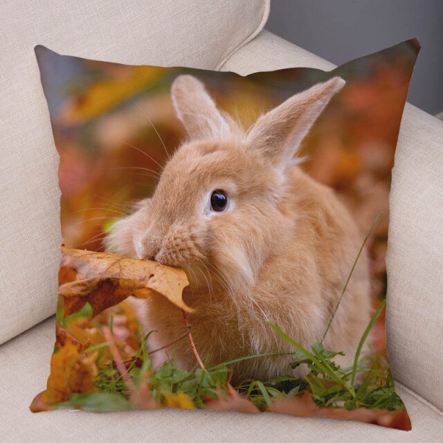 Cute Rabbit Bunny Cushion Cover Pillowcase Pillow Covers for Sofa Car Home Decor Pet Animal Pillow Cover Cotton Plush 45x45 cm