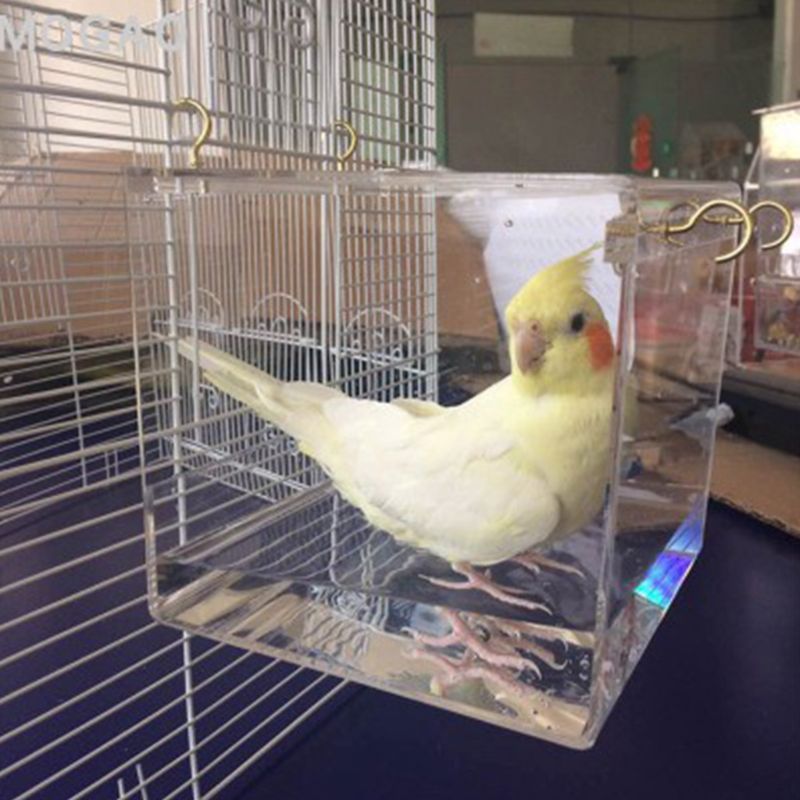 Deluxe Bird Bath Cage