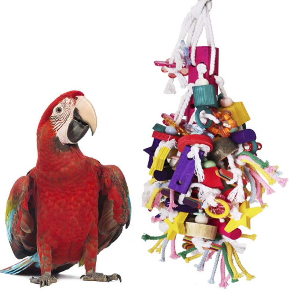 Bird Chewing Toy