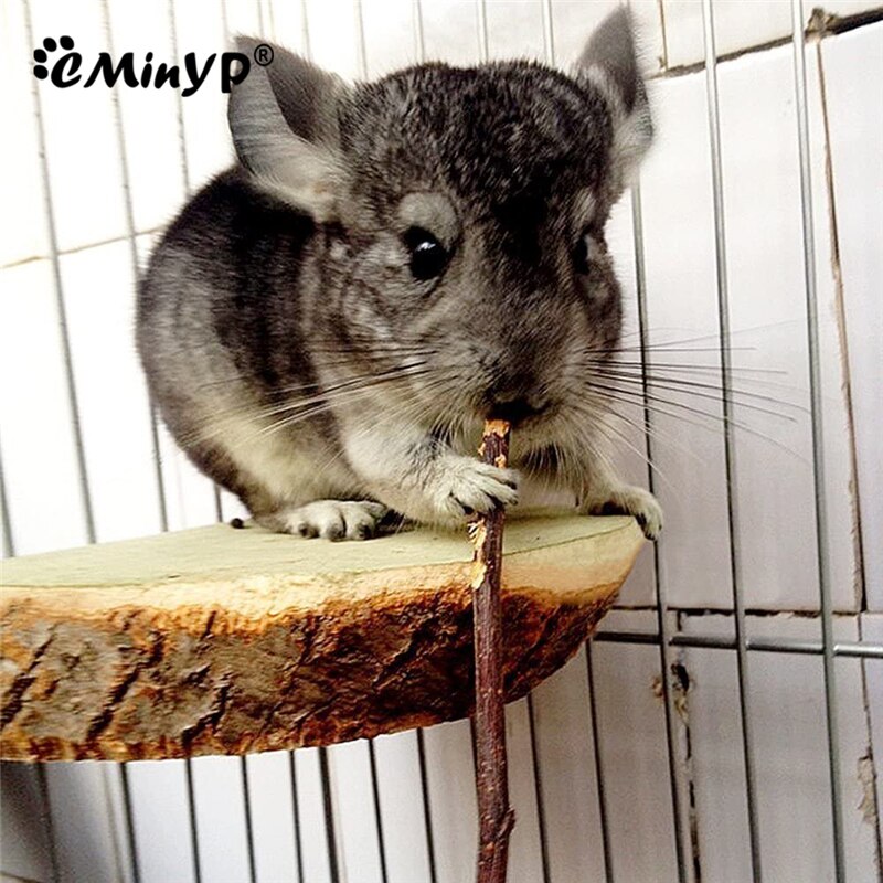 50G Bunny Chew Sticks Natural Apple Wood Branch For Chinchillas Guinea Pigs Hamsters Chewing Playing Exercise Teeth Care Pet Toy