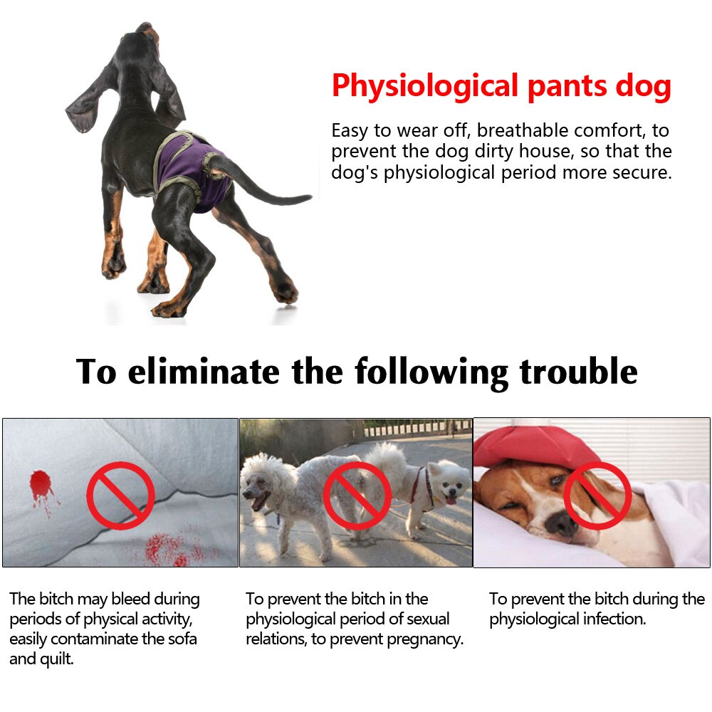 Dog Physiological Pants Puppy Cat Underwear Suspender Washalbe Shorts Diaper Sanitary For Small Meidium Large Female Girl Dogs