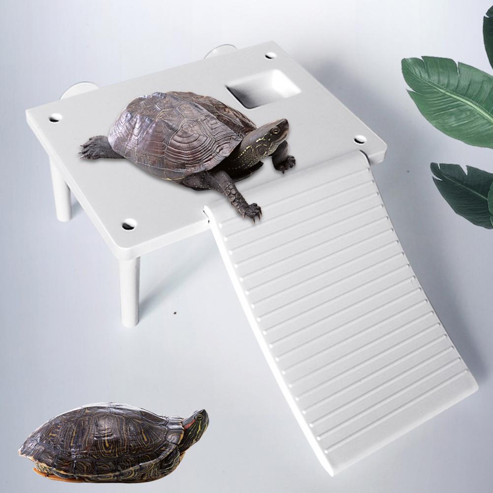 Turtle Basking Platform Burr-free Smooth Surface Entertaining Climbing Ladder Aquarium Landscape Decoration