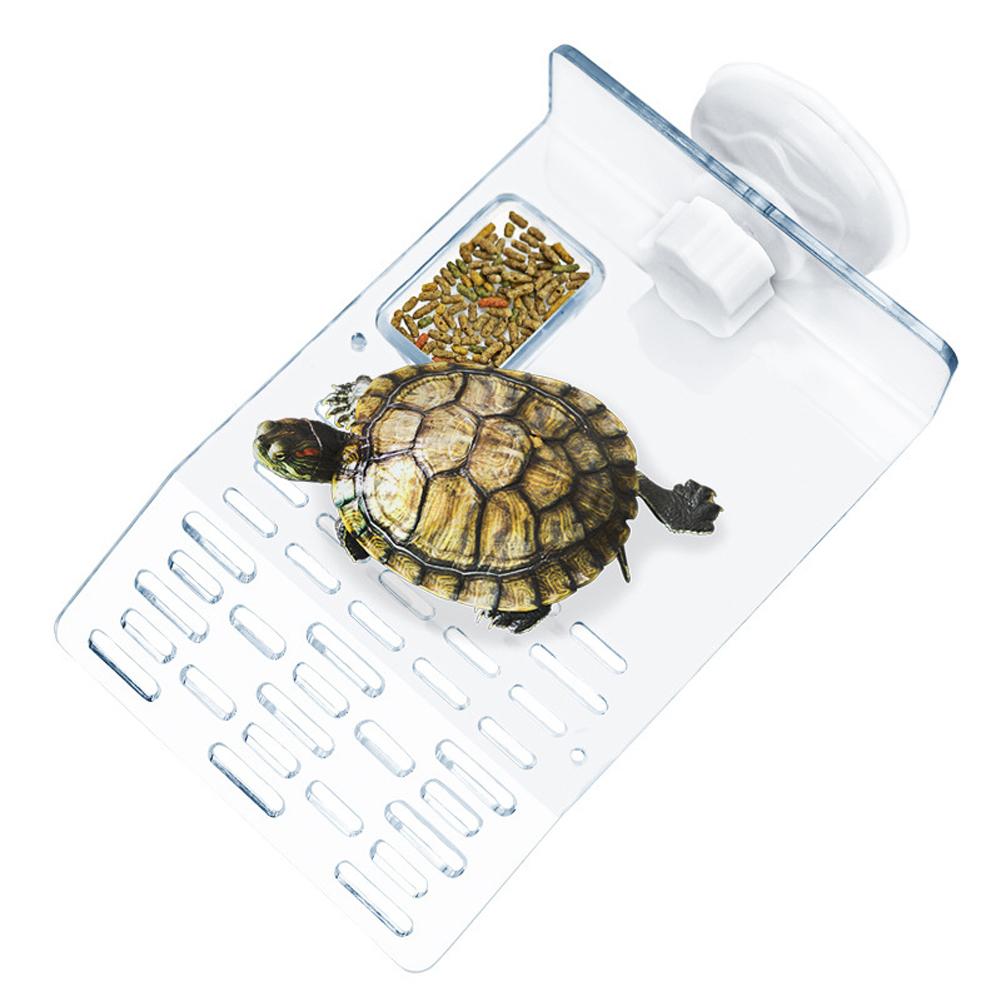 Transparent Turtle Basking Platform With Strong Suction Cups Tortoise Resting Terrace Fish Tank Aquarium Landscape Decoration