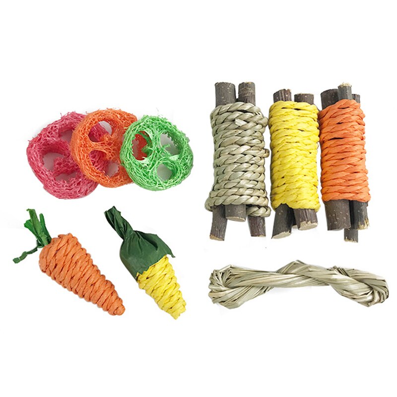 9pcs Rabbit Carrot Grind Teeth Toy Rat Rodent Chew Applewood Stick Molar Toy For Guinea Chinchilla Hamsters Small Pet Chew Toy