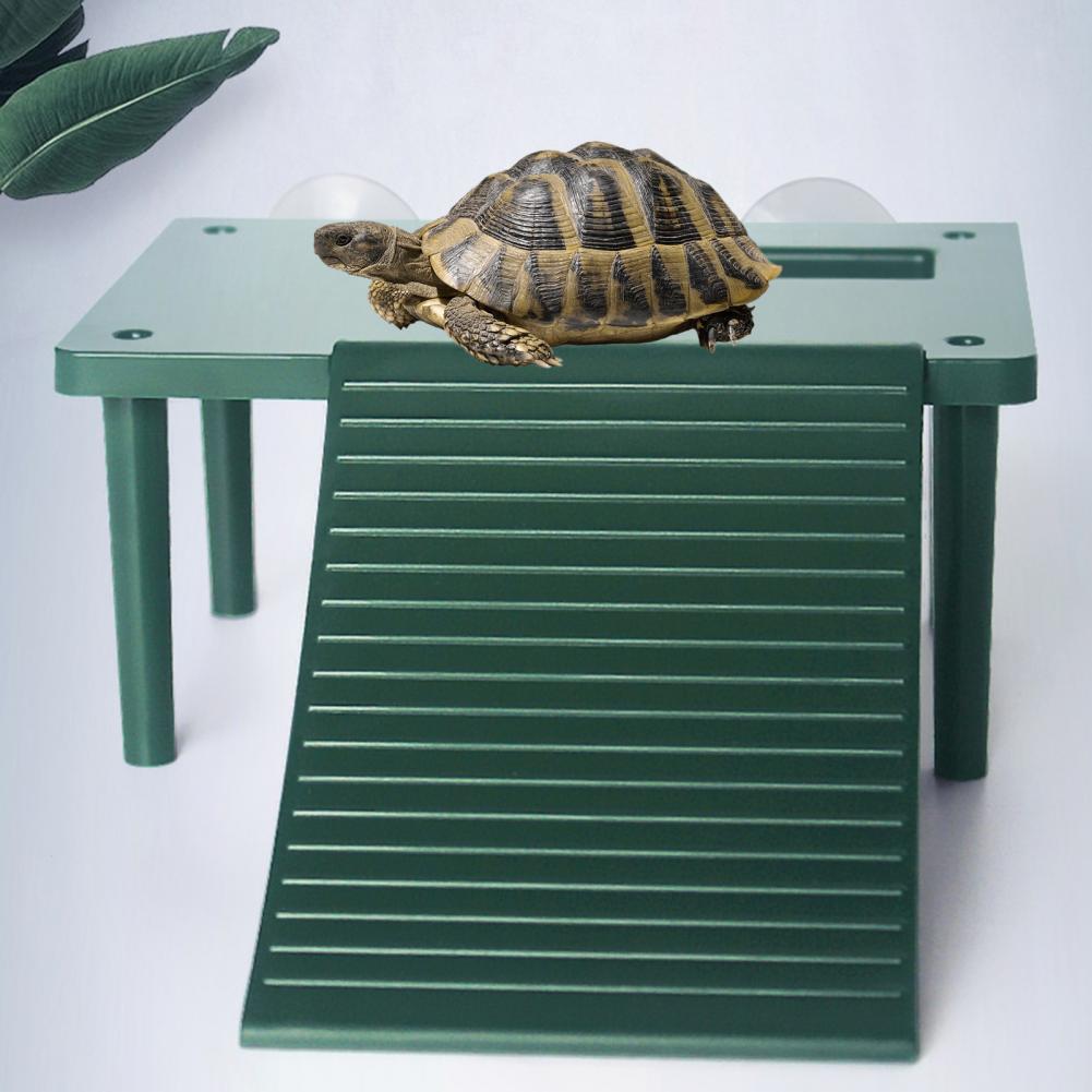 Turtle Basking Platform Burr-free Smooth Surface Entertaining Climbing Ladder Aquarium Landscape Decoration