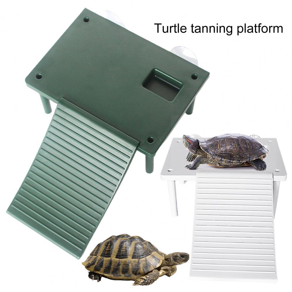 Turtle Basking Platform Burr-free Smooth Surface Entertaining Climbing Ladder Aquarium Landscape Decoration