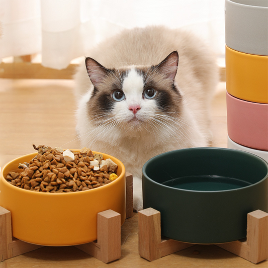 Pet Ceramic Bowl with Bamboo Stand Cat Bowl Dog Bowl Pet Drinking Bowl Food Container Cat and Dog Feeding Supplies