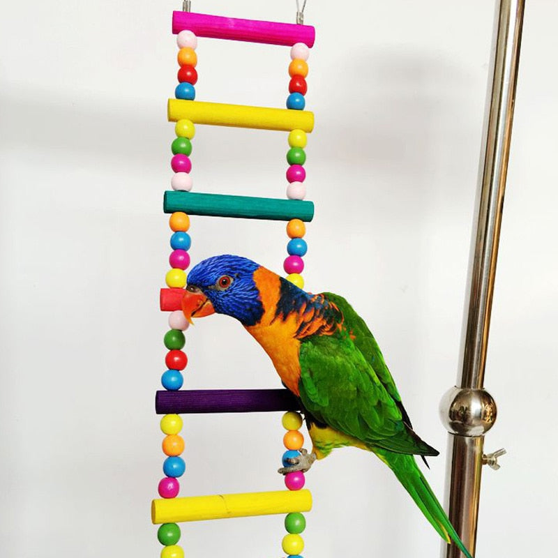 Parrots Toys Swing Balls Climbing Toy Chewing Training Ladders Hanging Hammock Natural Wood Birds Pets Bird Supplies