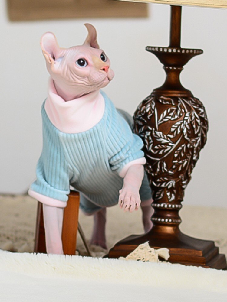 Cat Clothes Winter Warm Soft Cats Cotton Hoodies Jumper Sphynx Cat Costumes Pullover Sphinx Kitten Clothes Cat Supplies For Cats