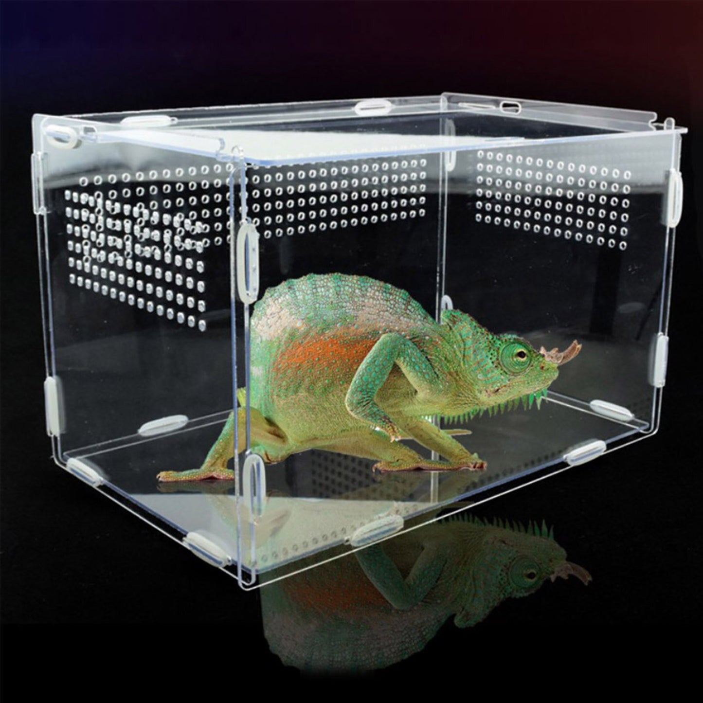 Reptile Breeding Box Acrylic Terrarium Feeding Box Transparent For Animals Reptile Pets Insect Spider Lizard Frog Cricket Turtle