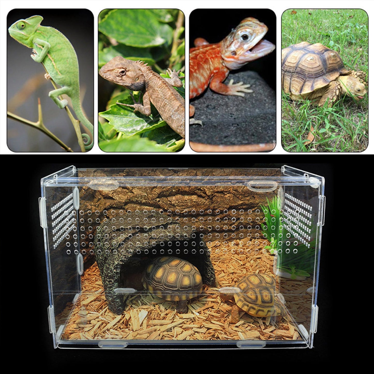 Reptile Breeding Box Acrylic Terrarium Feeding Box Transparent For Animals Reptile Pets Insect Spider Lizard Frog Cricket Turtle