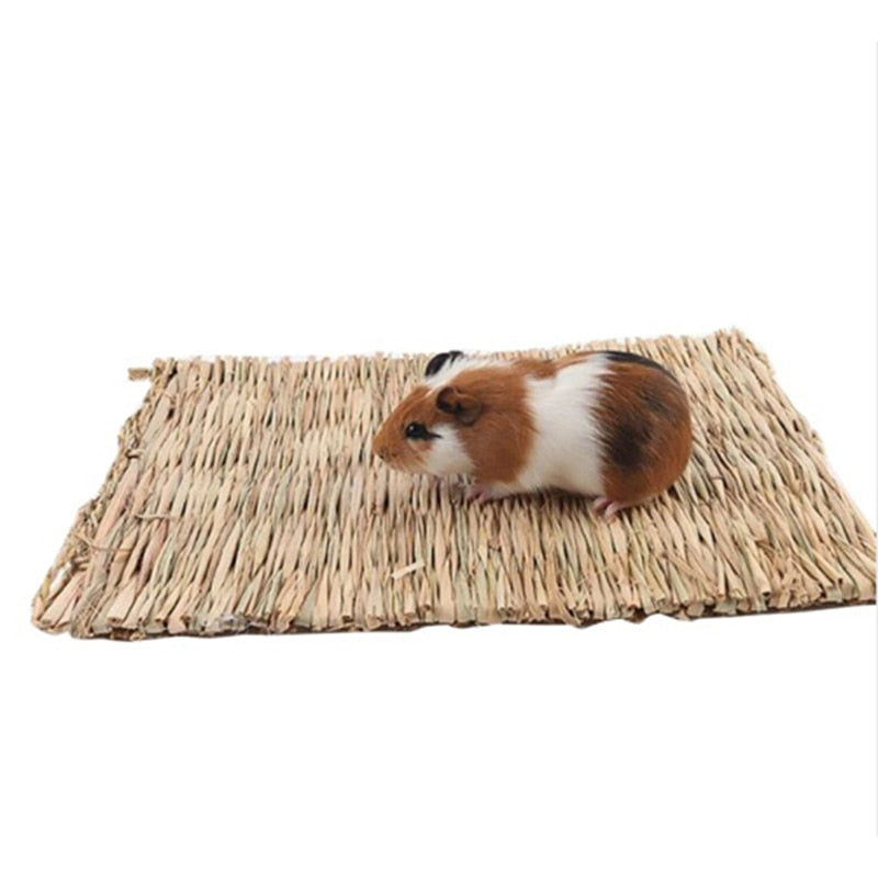 Rabbit Grass Chew Mat Small Animal Hamster Guinea Pig Cage Bed House Pad