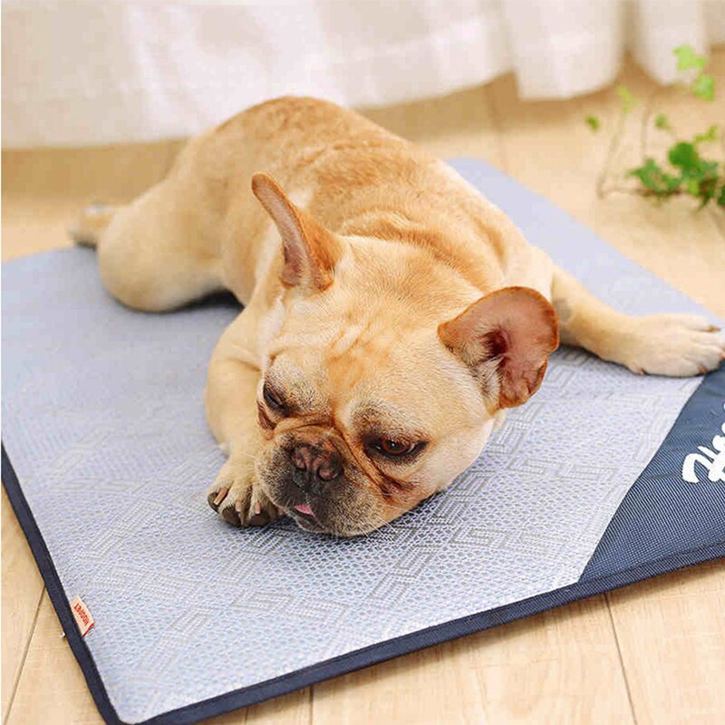 HOOPET  Pet Summer Cooling Mat Dog Summer Bed Cat Mat Mascotas Cama Perro Sofa for Dogs House