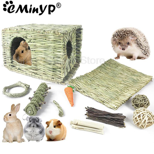 10Types(1Set) Small Pet Chew Toys Hay For Guinea Pig Rabbit Hamster Gerbil Teeth Cleaning Toys Branches Carrot Toy Pet Supplies