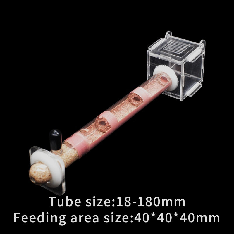 DIY Ecological Ant Farm Bamboo Tube Nest with Feeding area Various Size Ant House for Workshop Pet Anthill Ant Nest With Bracket