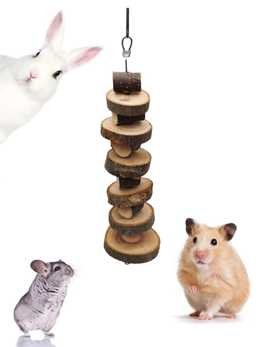 Hamster Chew Toy Small Pet Chinchilla Tooth Grinding Toy Organic Natural Apple Wood String For Guinea Pig Gerbils Cage Pendant