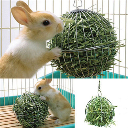 Stainless Steel Round Sphere Feed Dispense Exercise Hanging Hay Ball Guinea Pig Hamster Rabbit Pet Toy