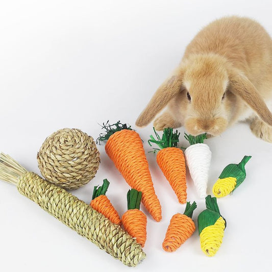 Hamster Rabbit Chew Toy Bite Grind Teeth Toys Corn Carrot Woven Balls For Tooth Cleaning Radish Molar Toys Pet Supplies