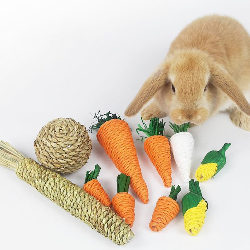 Hamster Rabbit Chew Toy Bite Grind Teeth Toys Corn Carrot Woven Balls for Tooth Cleaning Radish Molar Toys Pet Supplies 1pc